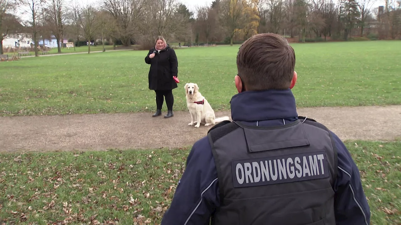 Bottrop: Ordnungskräfte kontrollieren Hundekot