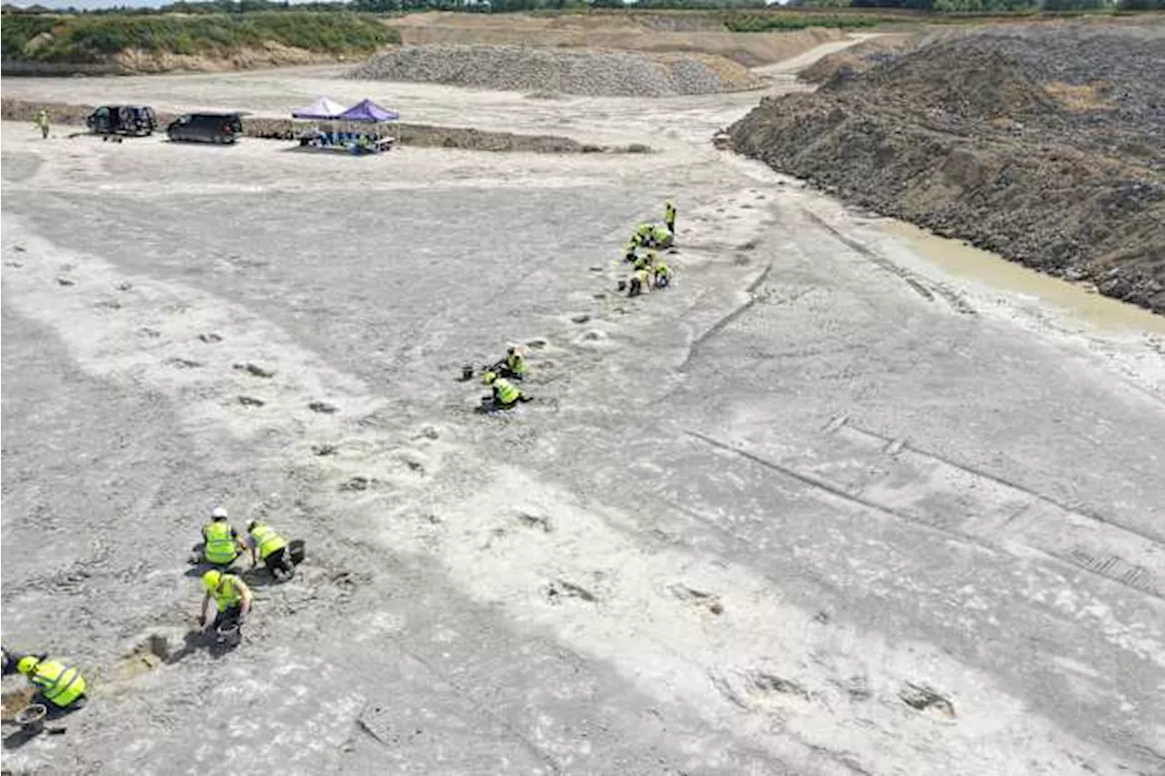 'Dinosaur highway' tracks dating back 166 million years are discovered in England