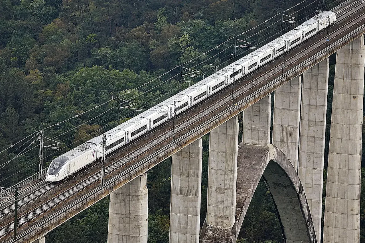 Talgo sube a Renfe en el primer caos ferroviario del año