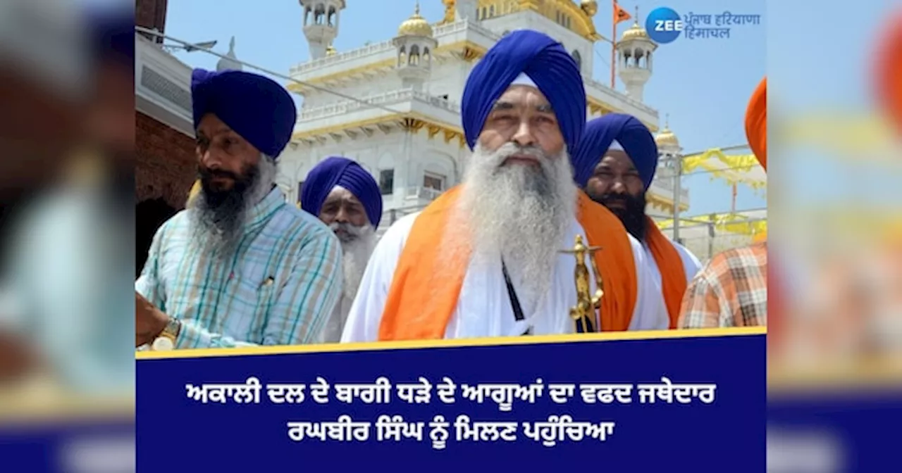 Amritsar News: ਅਕਾਲੀ ਦਲ ਦੇ ਬਾਗੀ ਧੜੇ ਦੇ ਆਗੂਆਂ ਦਾ ਵਫਦ ਜਥੇਦਾਰ ਰਘਬੀਰ ਸਿੰਘ ਨੂੰ ਮਿਲਣ ਪਹੁੰਚਿਆ