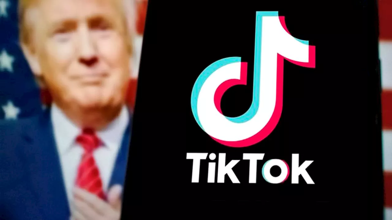 TikTok restores service in US after brief shutdown, citing Donald Trump’s efforts