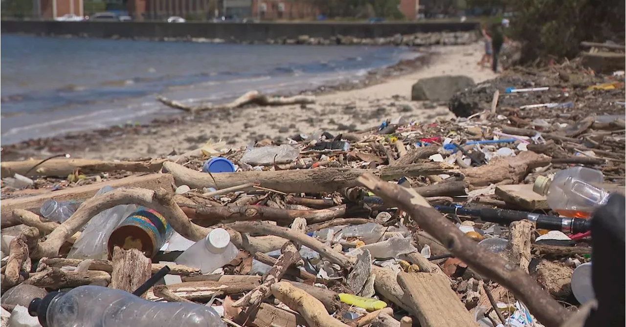 'Just awful: Sydney beach resembles rubbish tip after wild storms