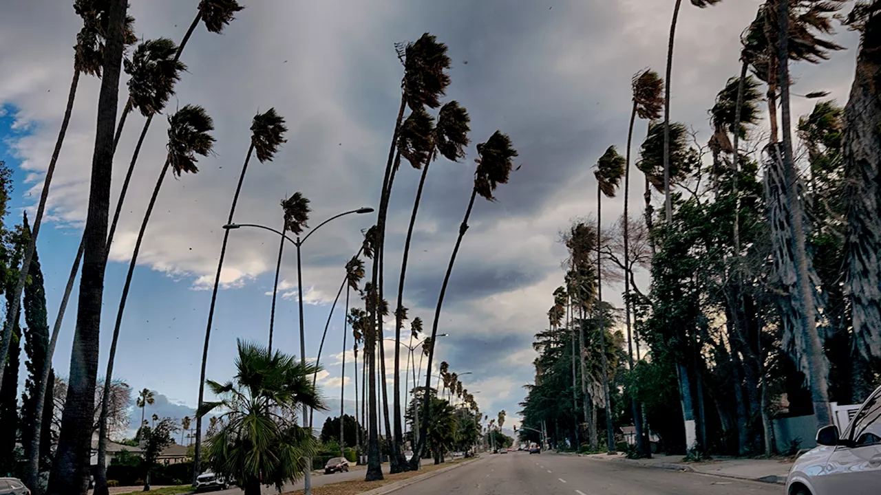 Dangerous Santa Ana Winds Trigger 'Particularly Dangerous Situation' Warning for LA and Ventura Counties