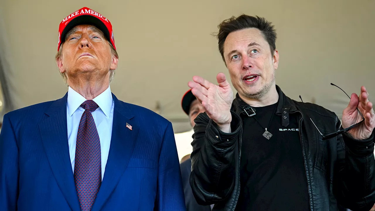 Lawsuits Target Trump's Controversial Efficiency Department and Elon Musk