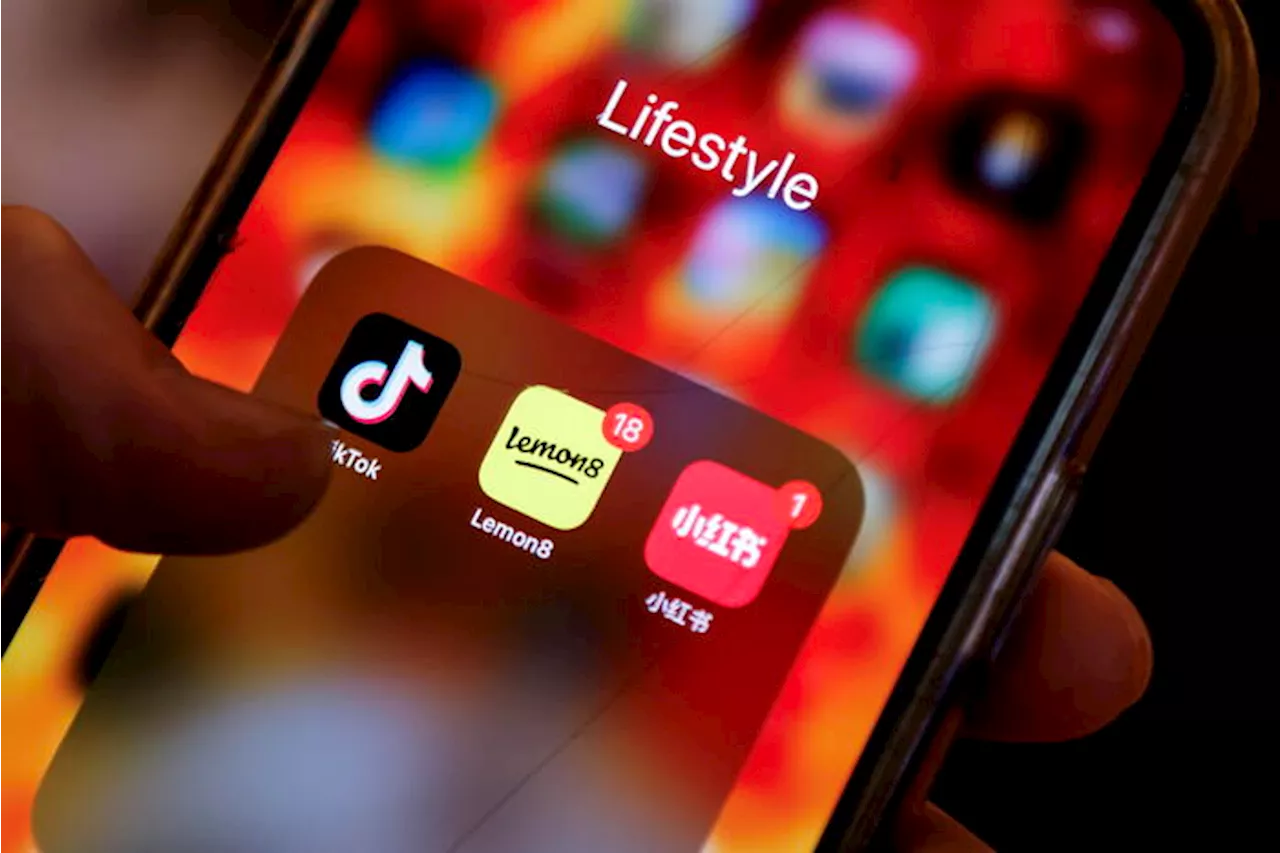 RedNote e Lemon8, le alternative a TikTok sono cinesi