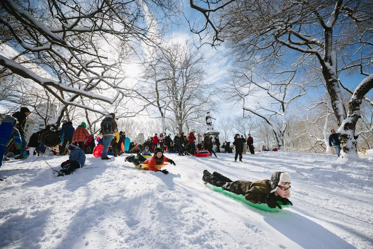 Best Sledding Hills in New York City