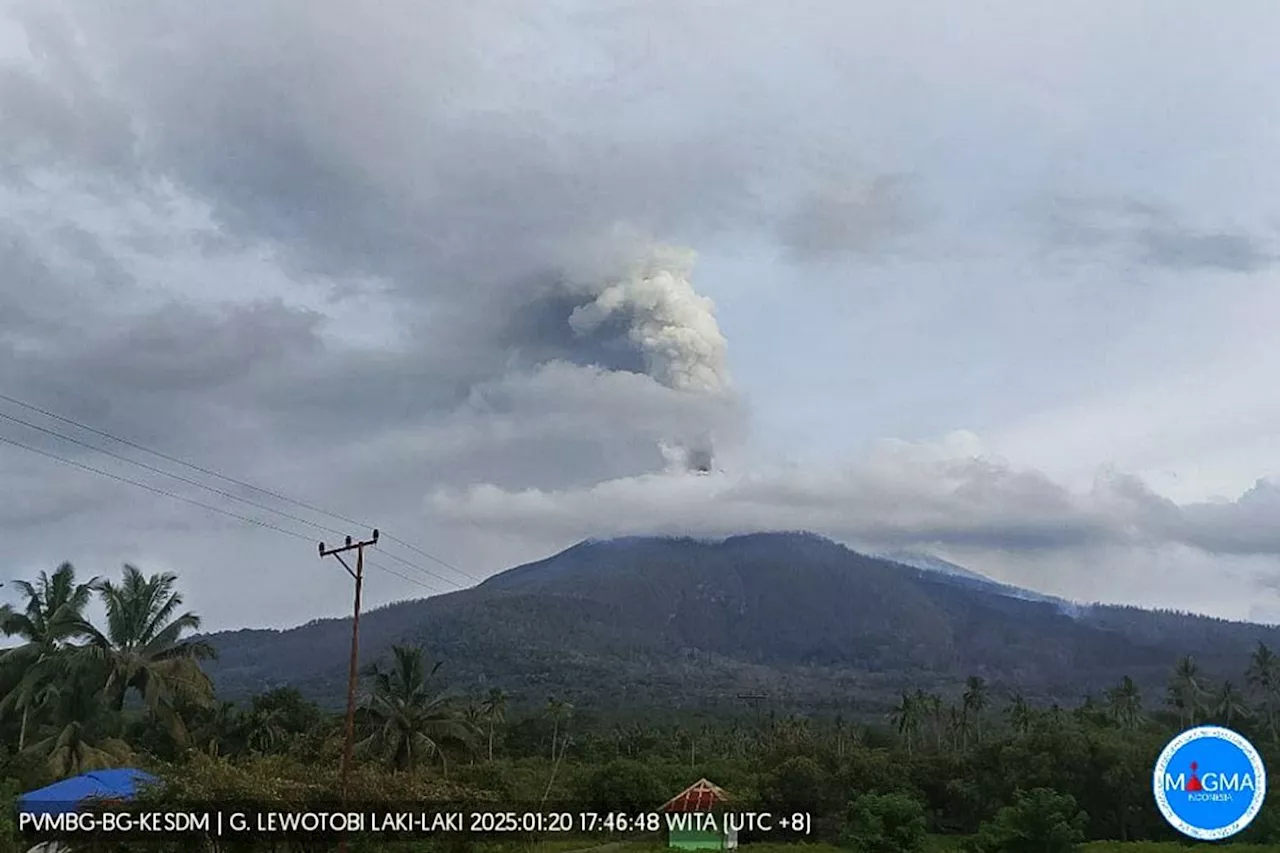 Gunung Lewotobi Laki-laki Erupsi, Warga Diimbau Tak Aktivitas di Radius 5 Km