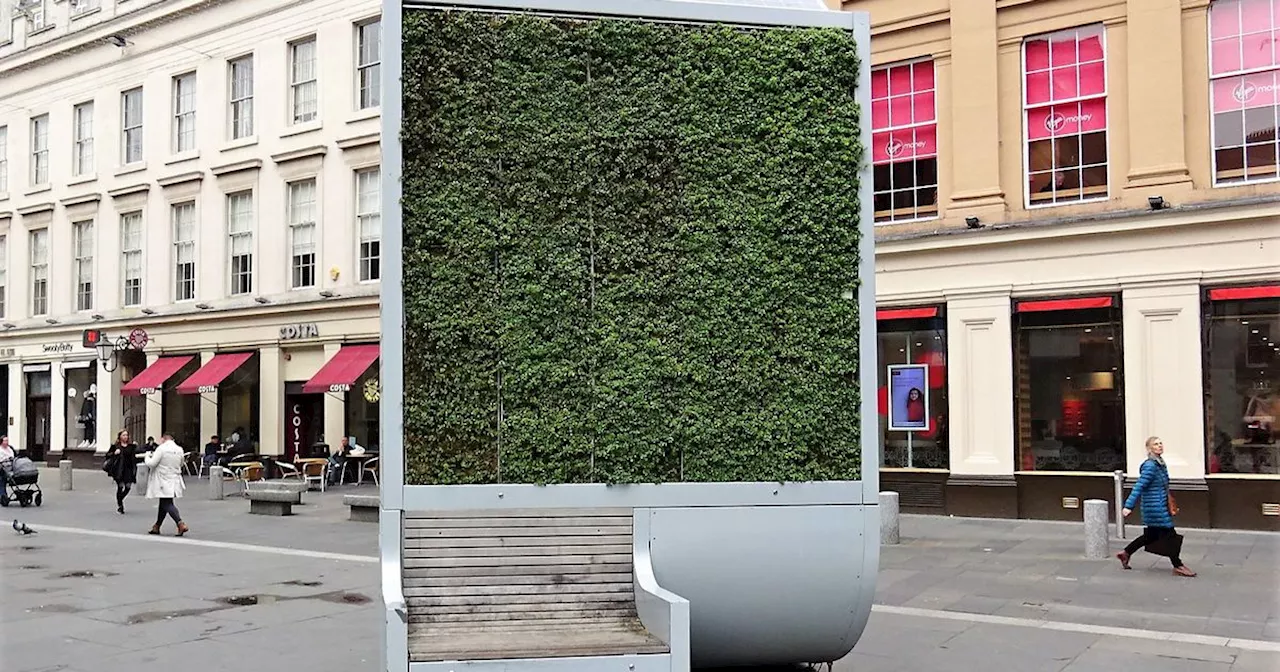 Belfast to see unique robot 'city tree' experiment