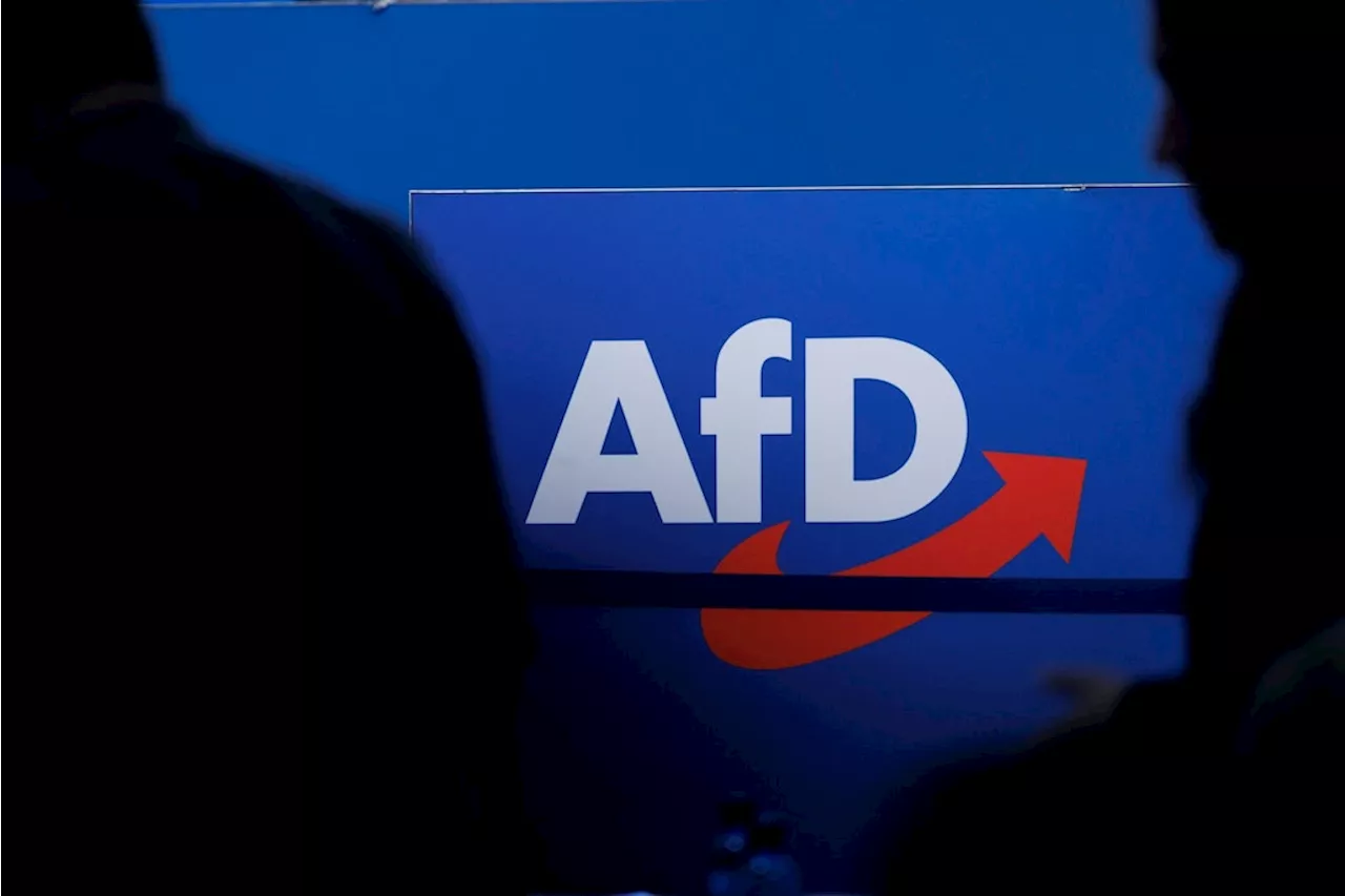 AfD-Wahlkampfvideo für Kinder gesperrt