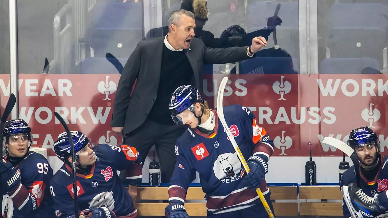 Eisbären-Trainer Aubin tobt: Zu viele Passagiere im Team