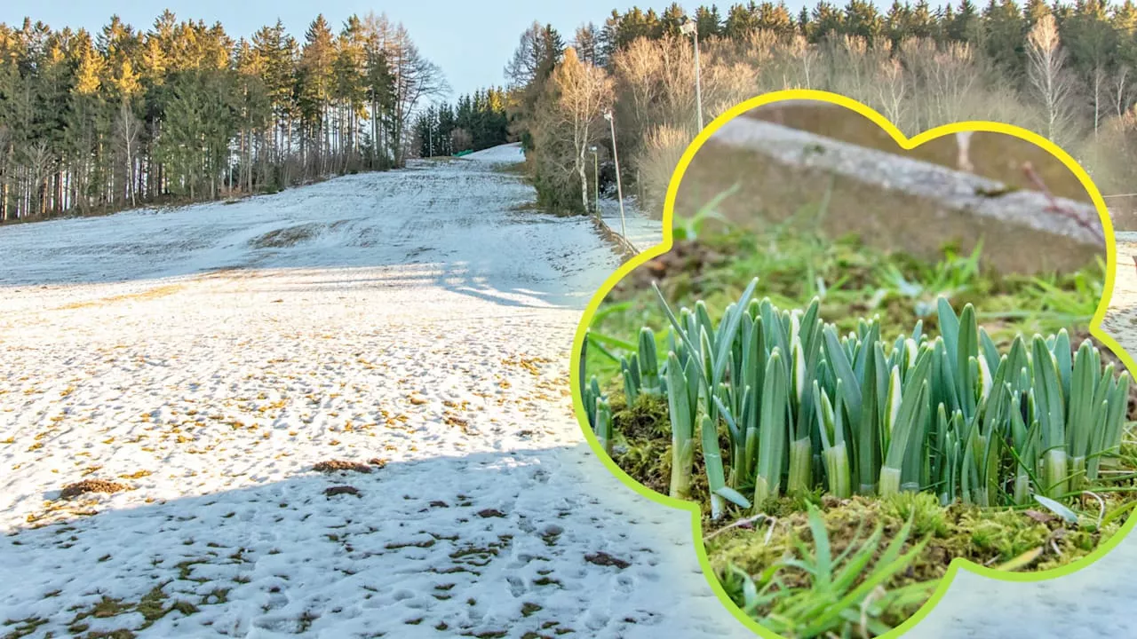 Wetter: Frühblüher statt Wintersportler auf der Skipiste