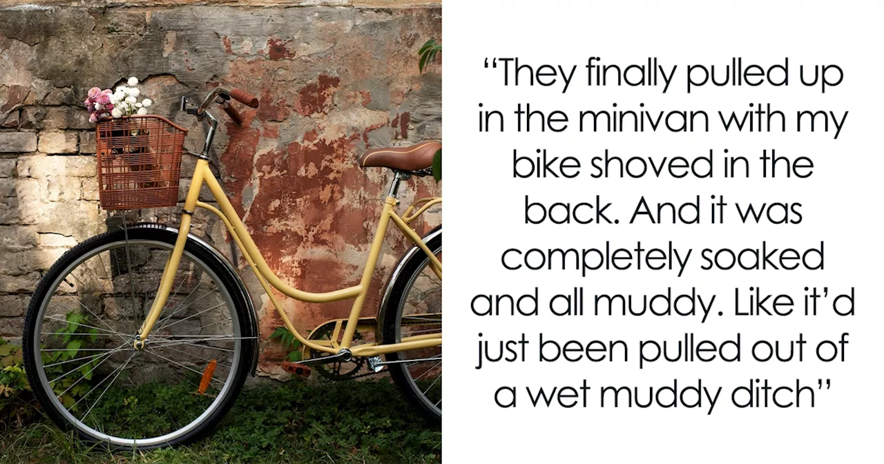 Sister Mistreats Brother, Steals And Dumps His Bike, But Soon Faces Dire Consequences