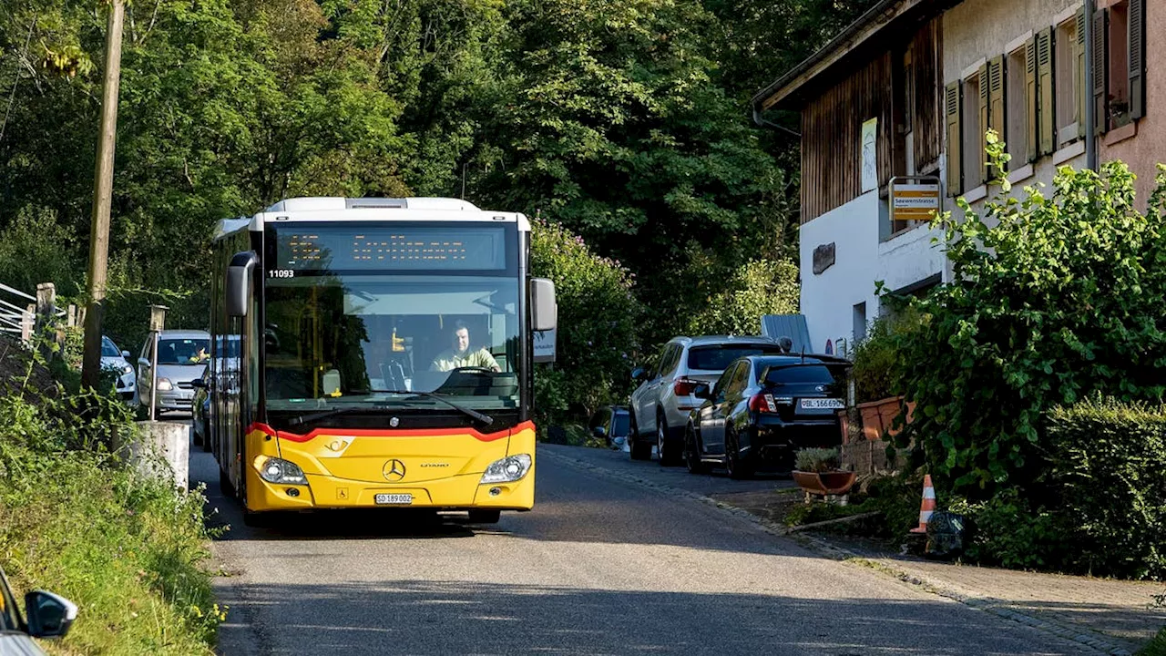 Petition gegen Stilllegung der Buslinie Seewen-Grellingen vor Kommission chancenlos