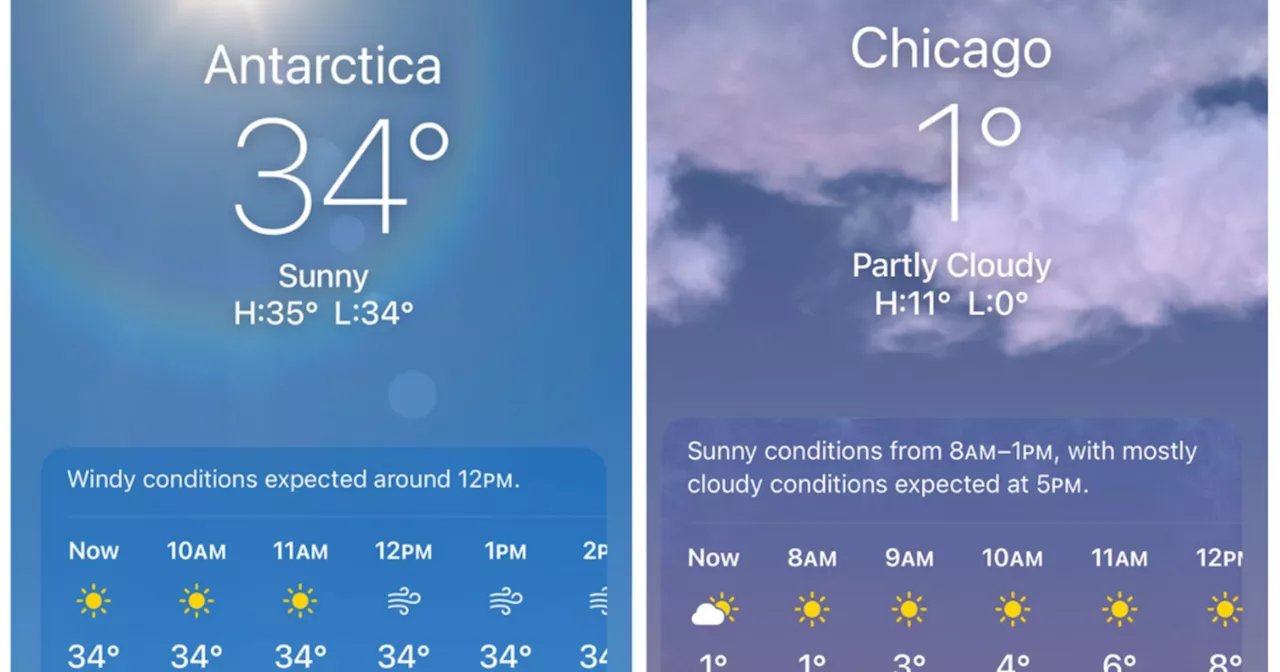 Escape Chicago's Arctic Chill: Antarctica Offers Warmer Temperatures