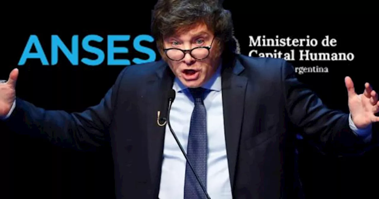 ANSES comunica cambios en el Programa Hogar para enero de 2025