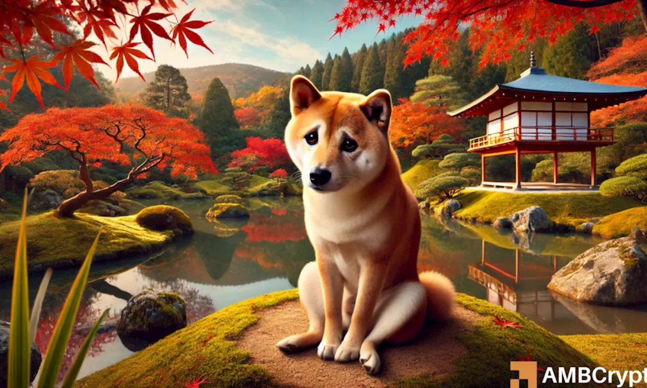 Shiba Inu wavers: As SHIB loses top spot to THIS memecoin, what’s next?