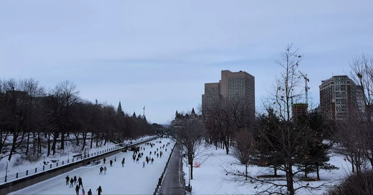 Toronto Braces for Extreme Cold as Week Begins with Frigid Temperatures