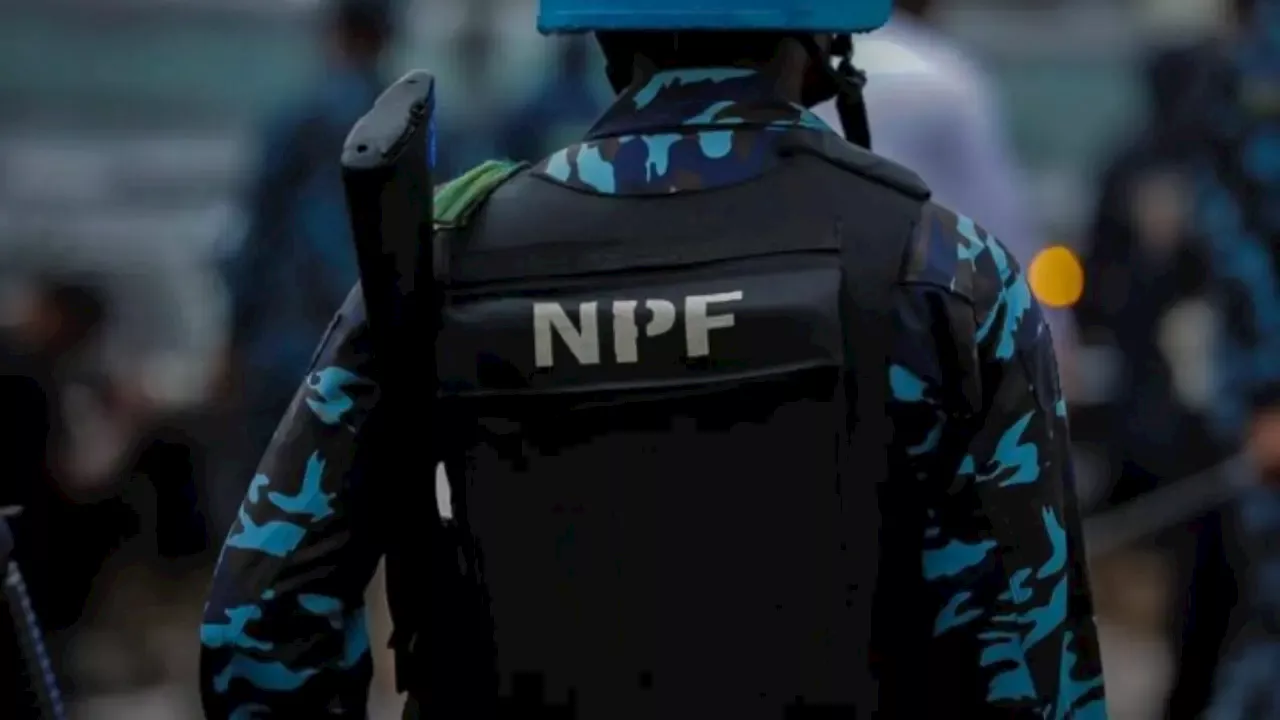 Adamawa Police Raid Kidnappers' Hideout, Kill One Suspect
