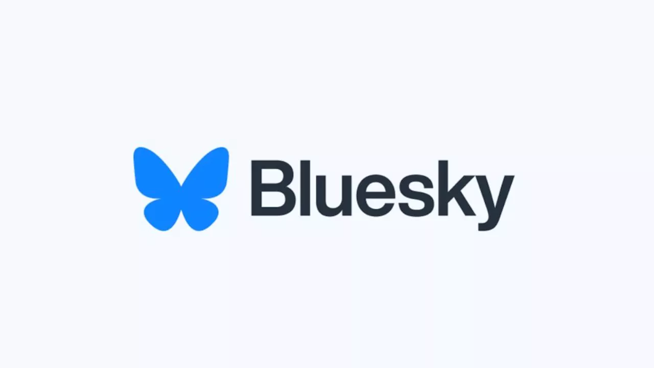 Bluesky's 2024 moderation report shows how quickly harmful content grew as new users flocked in