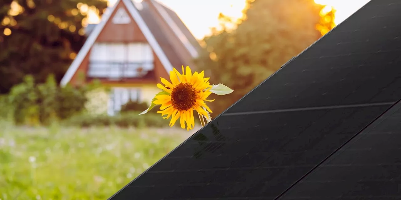 Balkonkraftwerke: Der einfache Einstieg in erneuerbare Energien