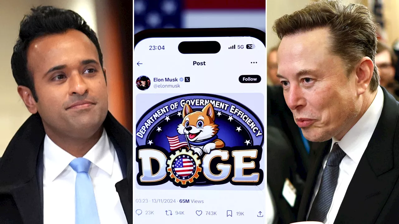 DOGE, Musk's Government Efficiency Team, Faces First Lawsuit Over Lack of Transparency