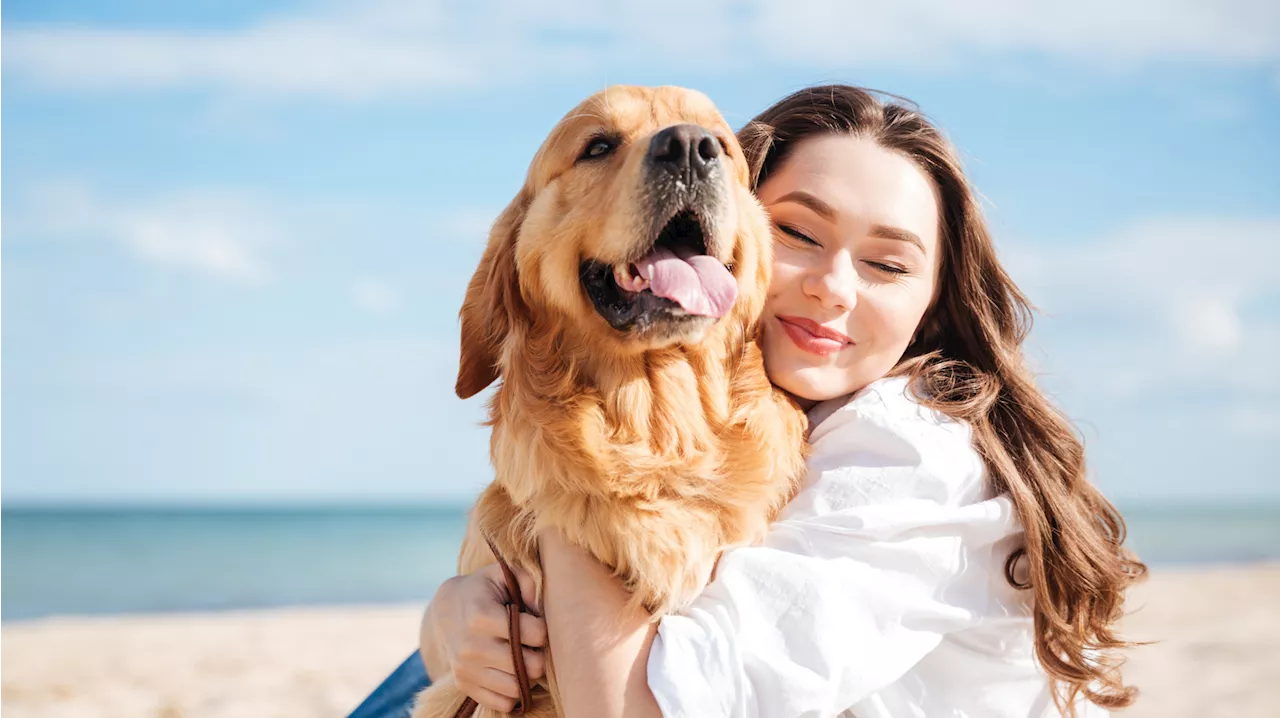 Diese Sternzeichen mögen Hunde lieber als Menschen