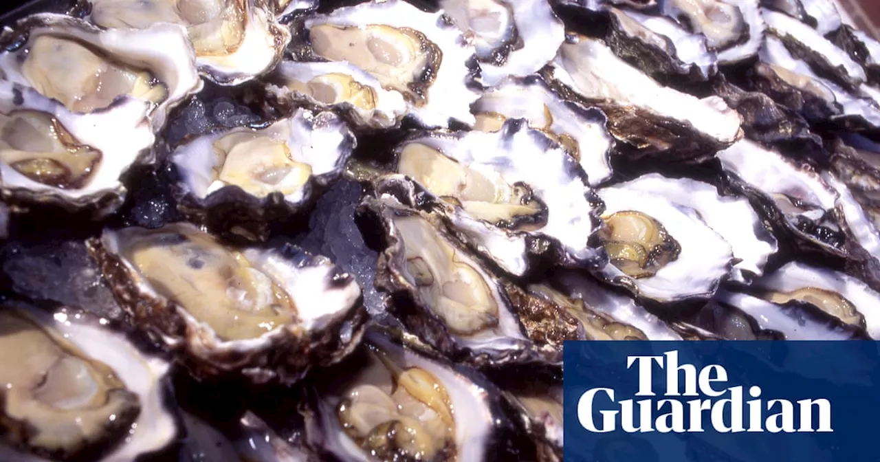 Oyster Protein Shows Promise in Fight Against Superbugs