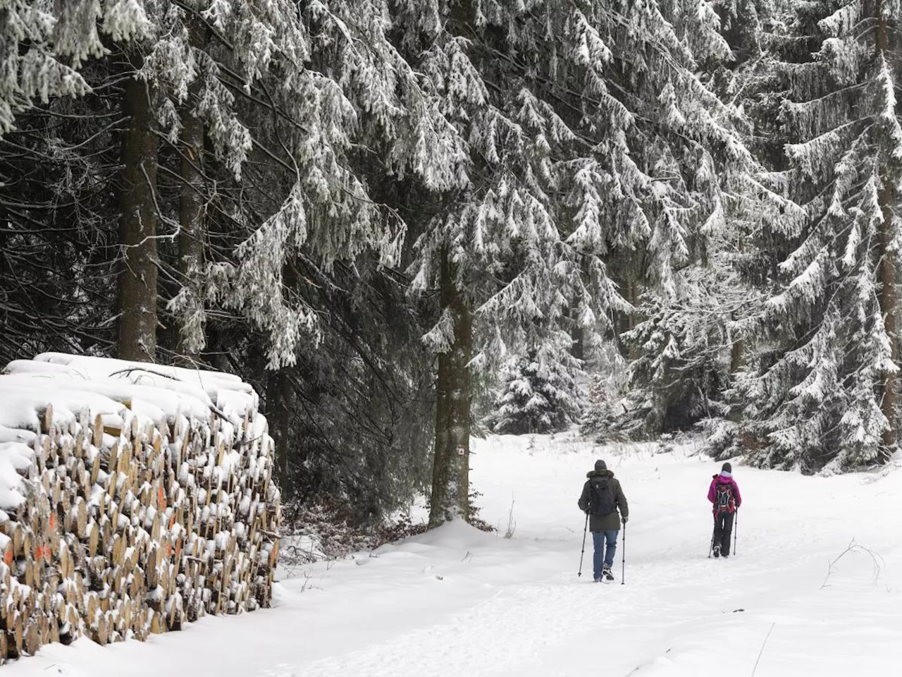 Neve in arrivo sul Nord Italia, il meteo si fa invernale