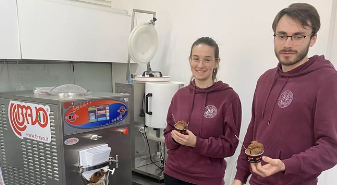 Gelato con la polvere di grillo al gusto di cioccolato: premiati due studenti di Padova