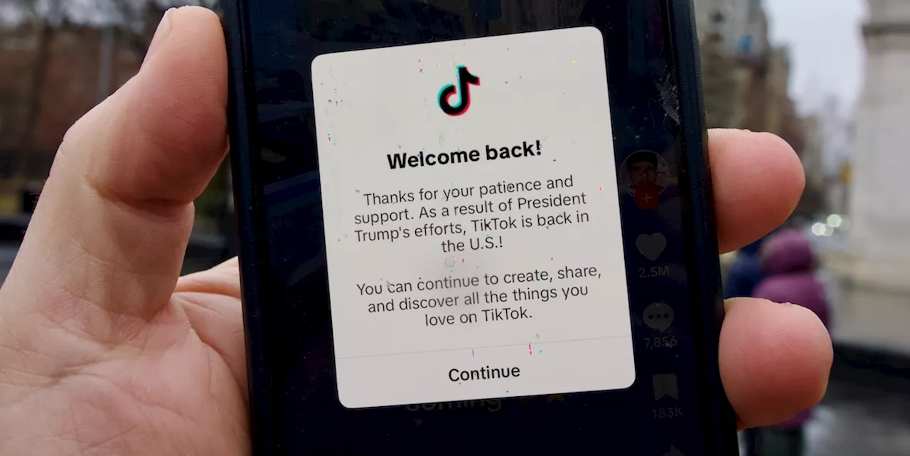 TikTok ha potuto difendersi dal “TikTok ban” sulla piattaforma più efficace: TikTok