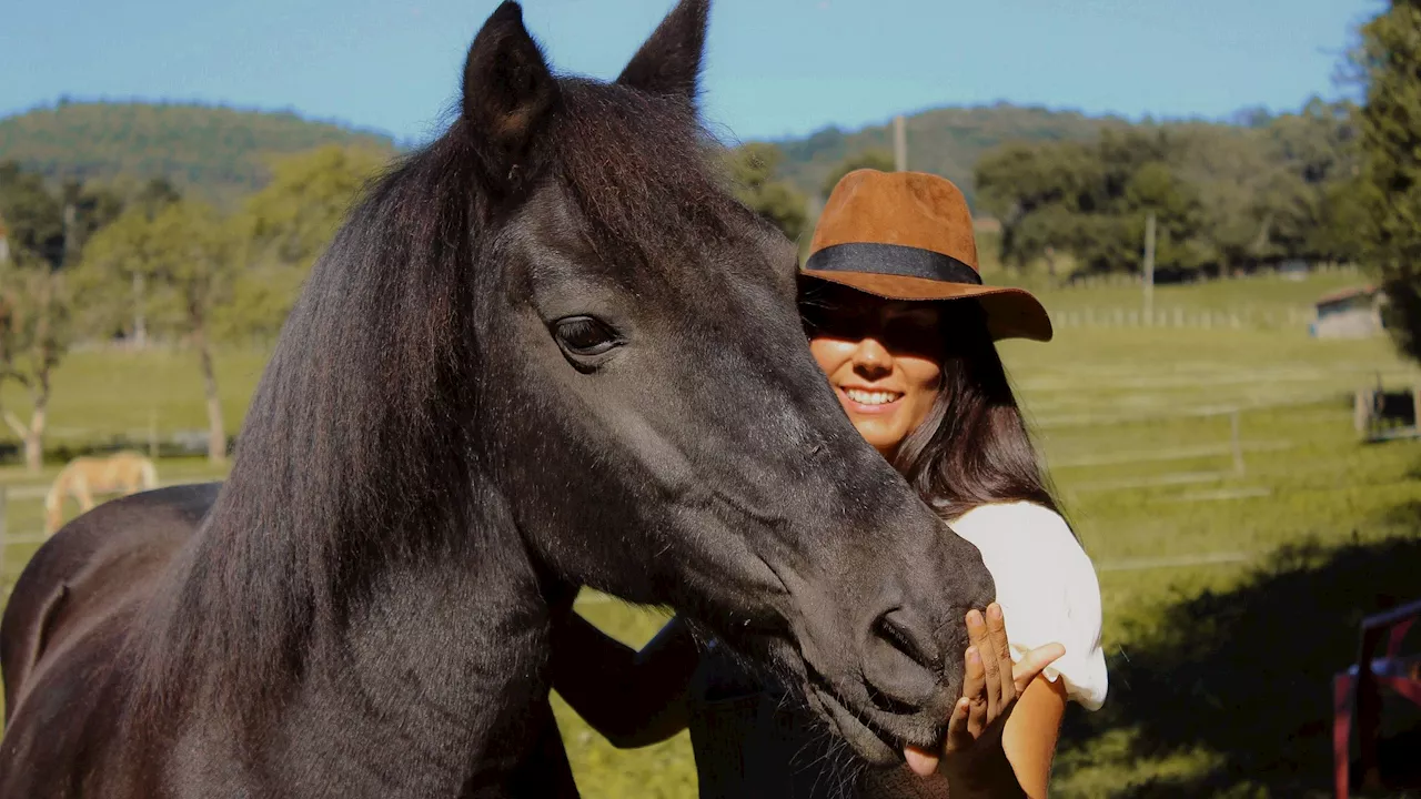 Anna Campo, la psicóloga bilbaína que hace terapias con caballos y ha escrito un libro inspirado en 'mi primer