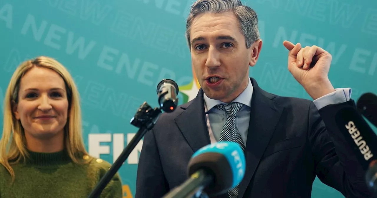 Fine Gael Ratifies Government Programme, Sparking Debate Over Independent Ministerial Posts