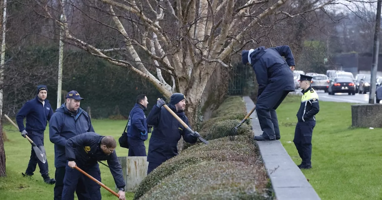 Man Fatally Stabbed in Bray Park Amidst Local Dispute