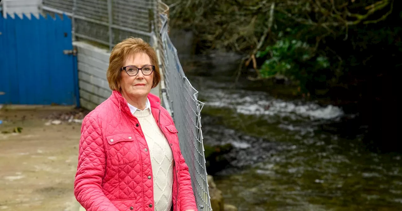 ‘Nobody took any responsibility whatsoever’: Widow had to pay €70,000 to fix wall damaged by river