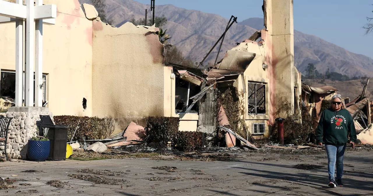 Rachel O'Dwyer: ‘Catastrophe bonds’ may offset LA wildfire damage, part of a perverse trade in dystopia