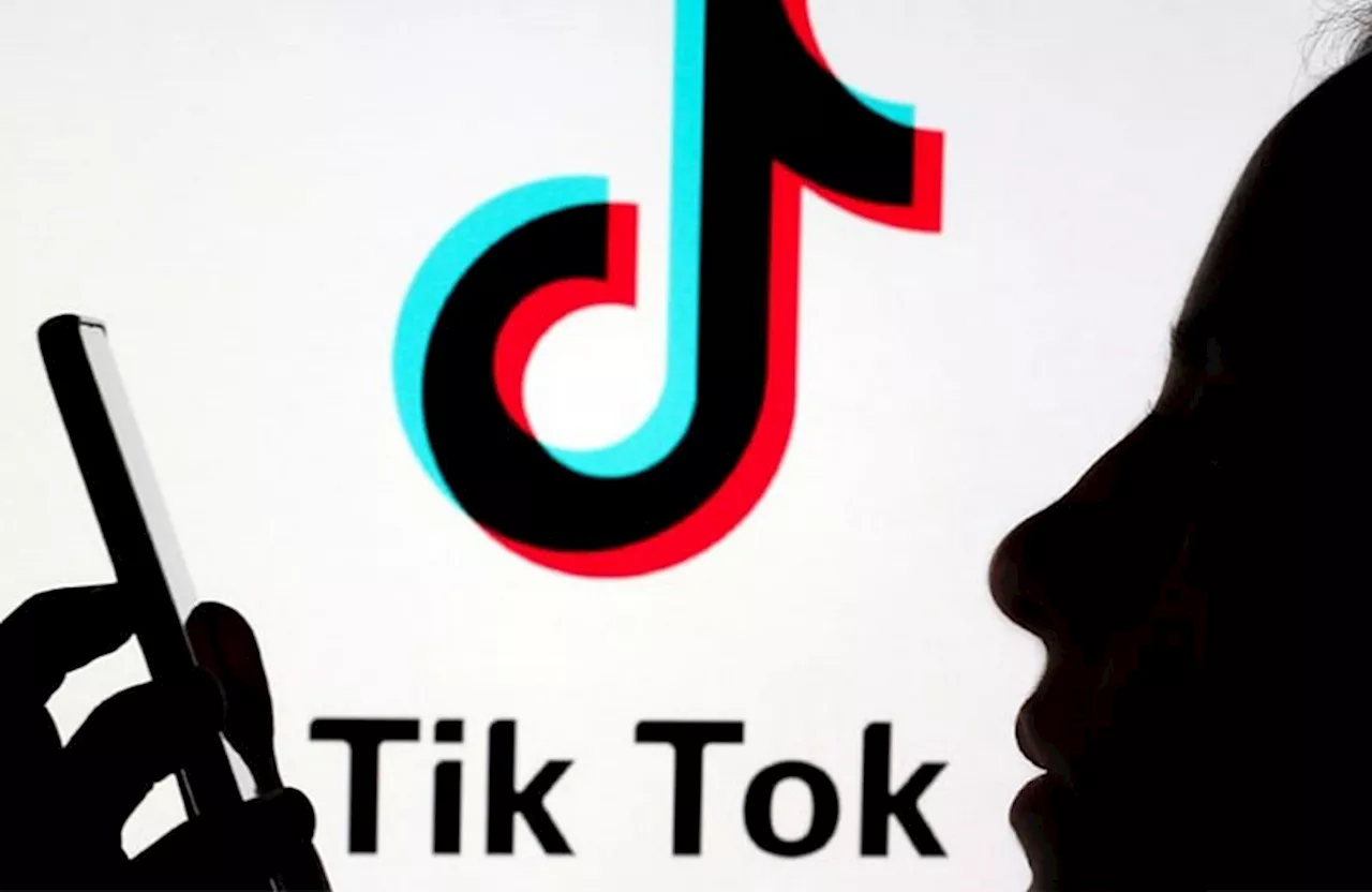 President Donald Trump Reinstates TikTok in the U.S.