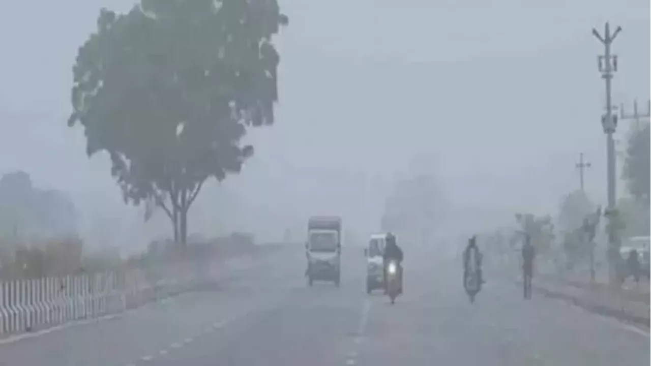 Bihar Weather Today: धूप के बाद भी सर्दी का सितम, पछुआ हवा के बीच कंपकंपाते रहे लोग; IMD ने जारी किया नया अपडेट