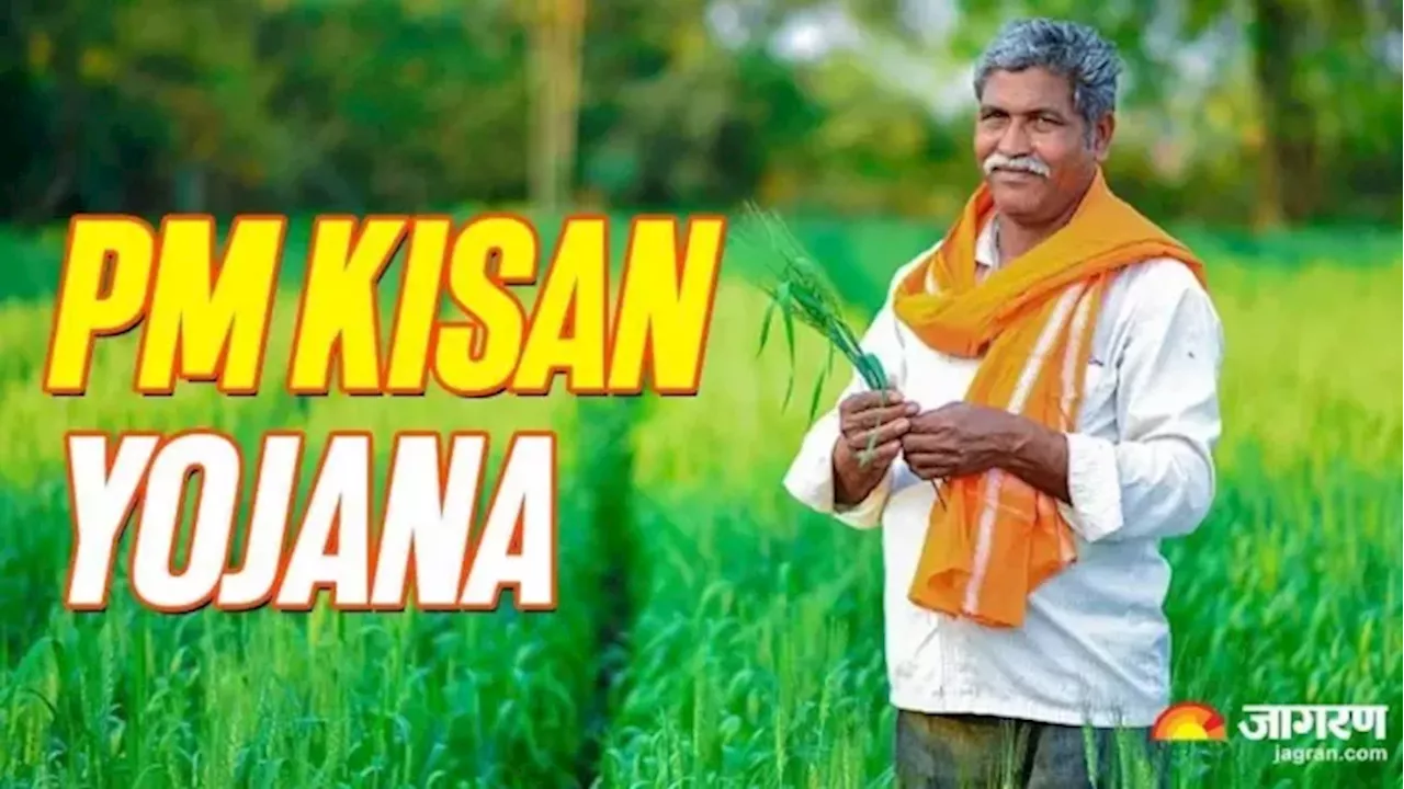 PM Kisan Yojana से जुड़ी एक गलती पड़ेगी भारी, भोजपुर के इन किसानों को नहीं मिलेगी 19वीं किस्त; देखें पूरी लिस्ट