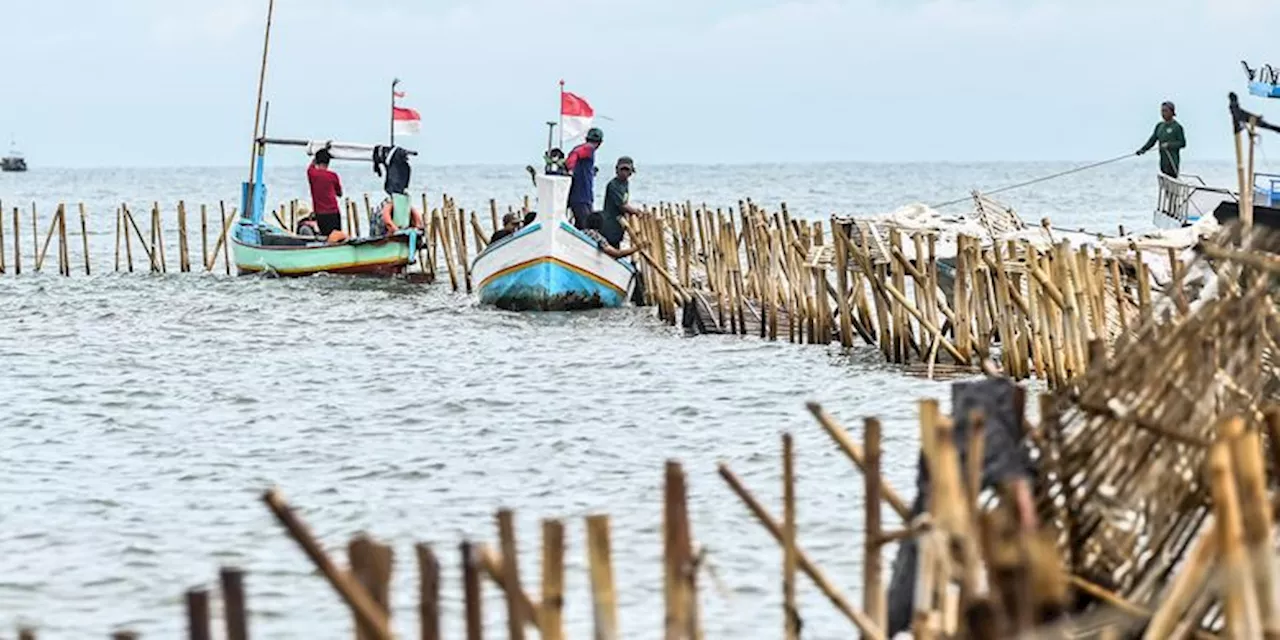 Ini Alasan Menteri KKP Minta TNI AL Hentikan Pembongkaran Pagar Laut Tangerang