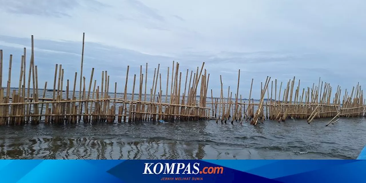 Misteri Pemilik SHGB Pagar Laut Tangerang