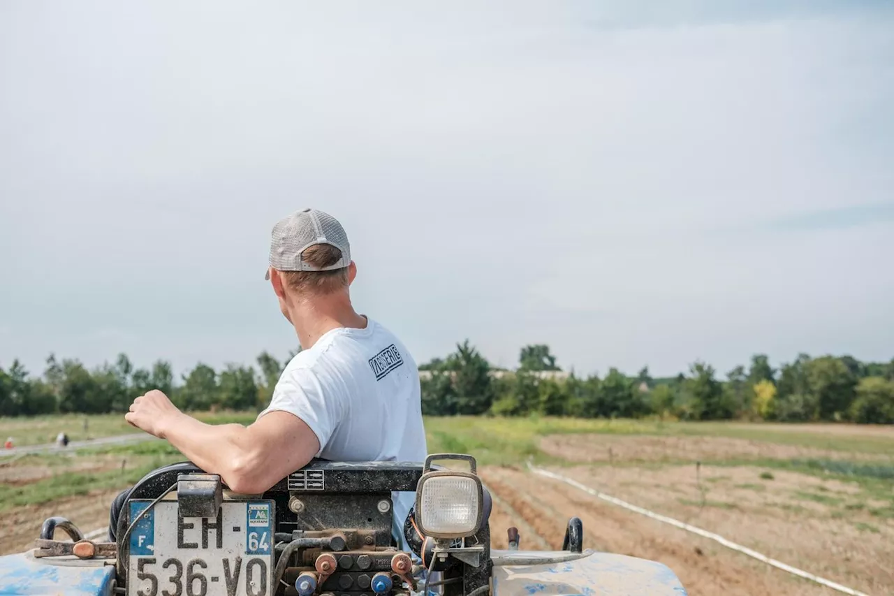 Élections agricoles : les chambres d’agriculture, lieux d’influence technique et politique