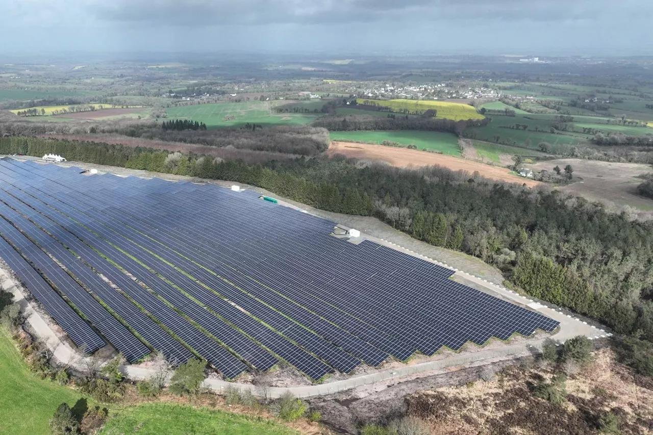 Électricité : la France championne du bas carbone en 2024