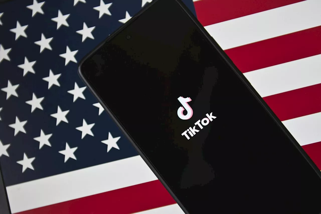 Réseaux sociaux : TikTok de nouveau accessible aux États-Unis