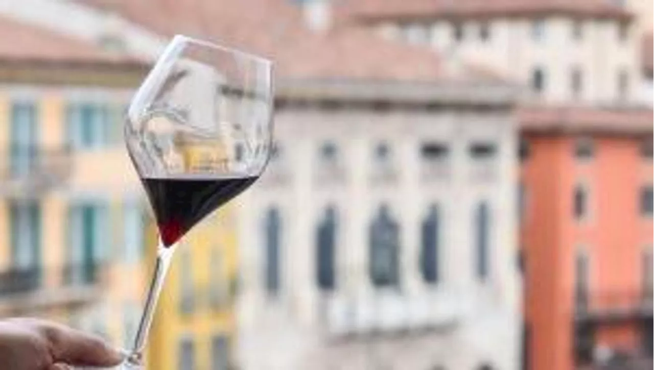 Amarone della Valpolicella: Un Secolo di Gusto e Successo Celebrato a Verona