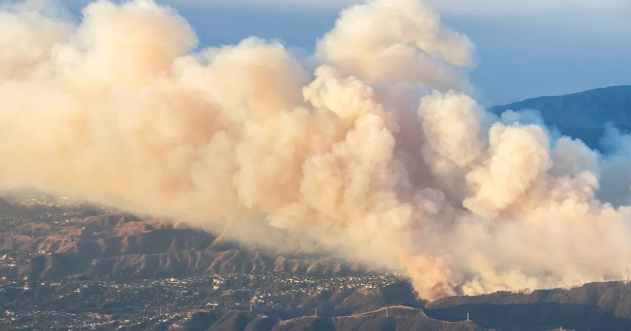 Toxic Smoke Blanket Engulfs Los Angeles in Wildfire Aftermath