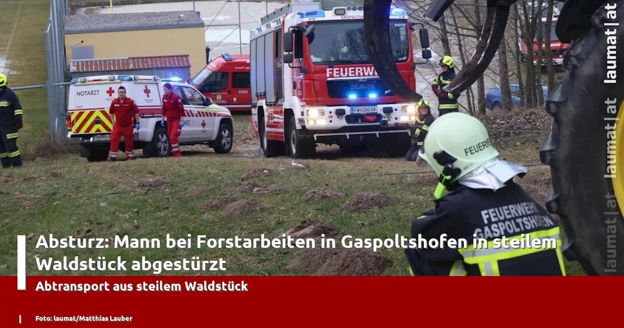 Absturz: Mann bei Forstarbeiten in Gaspoltshofen in steilem Waldst�ck abgest�rzt