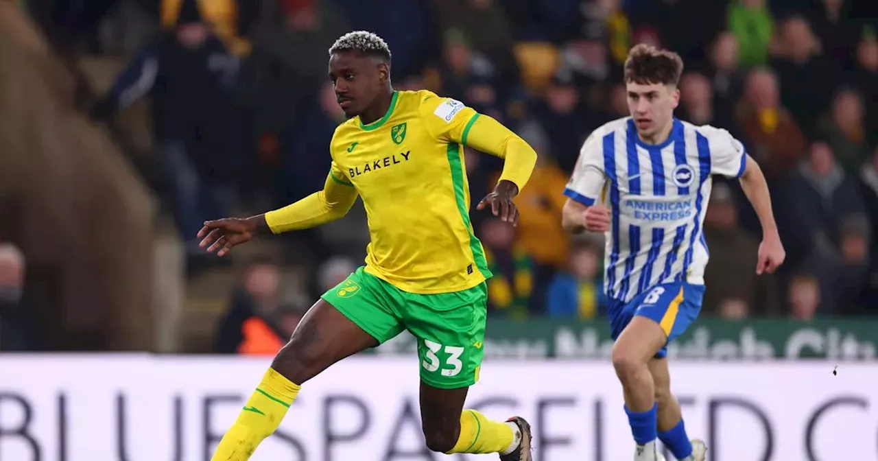 Norwich City Stretched Thin as Injury Crisis Deepens Ahead of Leeds United Clash