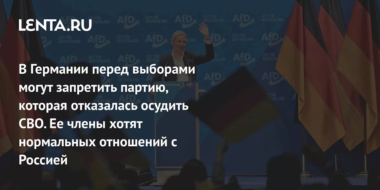 В Германии инициируют запрет партии Alternative für Deutschland