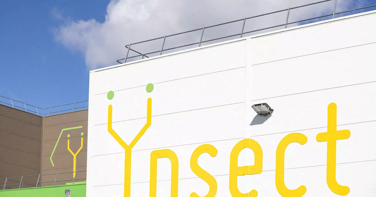 Ynsect: De la Révolution Écolo à l'Échec Commercial?