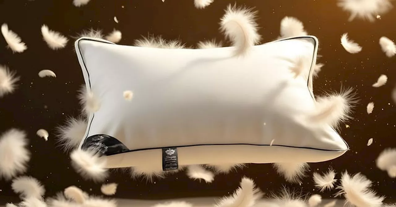 Hungarian Goose Feather & Down Pillows At Wowcher For Less Than £30!